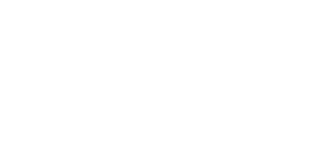 The Ontario Trillium Foundation logo.