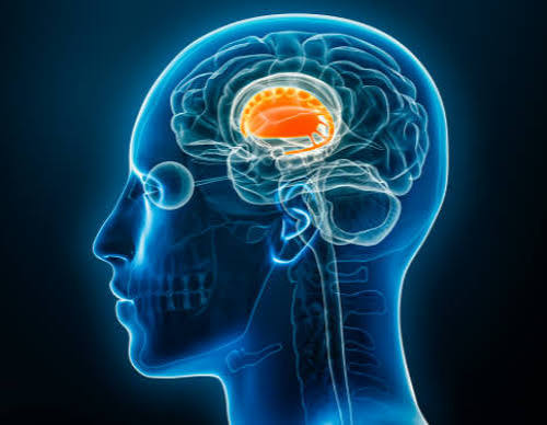 Understanding Parkinson’s Disease: Recognizing Symptoms, Understanding Treatments, and Updates on the Latest Research Thumbnail